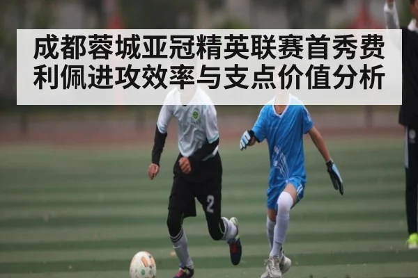 成都蓉城亚冠精英联赛首秀费利佩进攻效率与支点价值分析（www.c7c7.app）